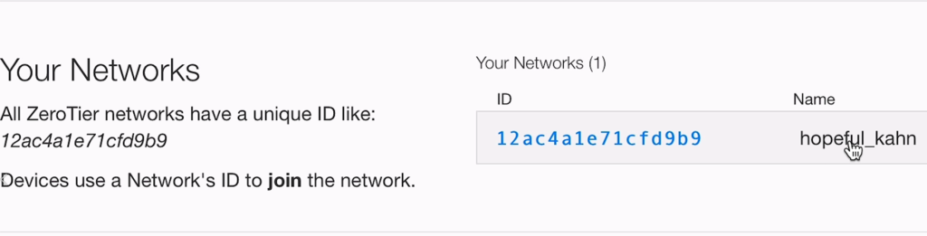 Image showing ZeroTier Network ID and name