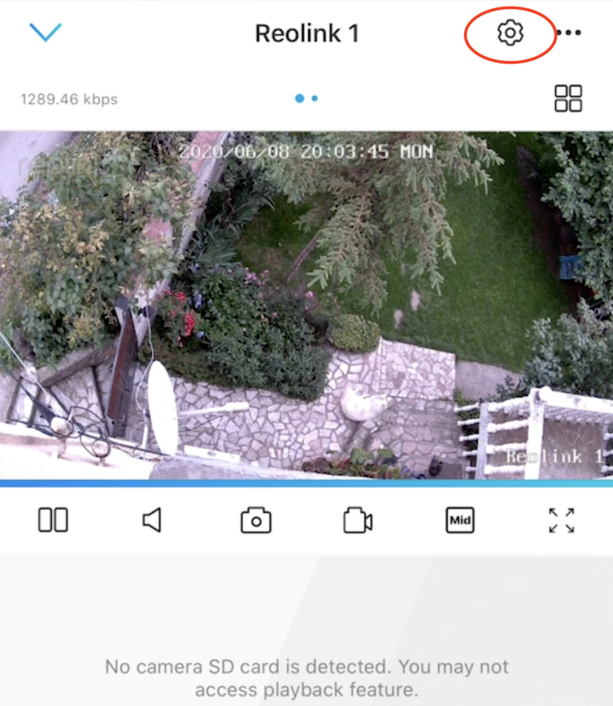 Reolink app camera stream showing my yard and my sleeping dog. The point here is to click on the gear wheel button to go to the user management.