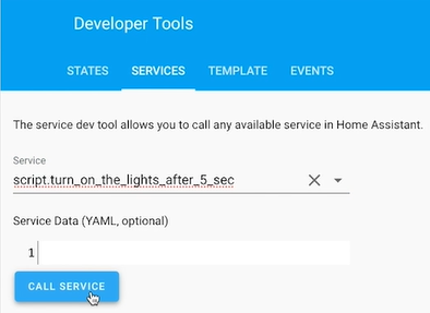Calling a home assistant script from developer menu