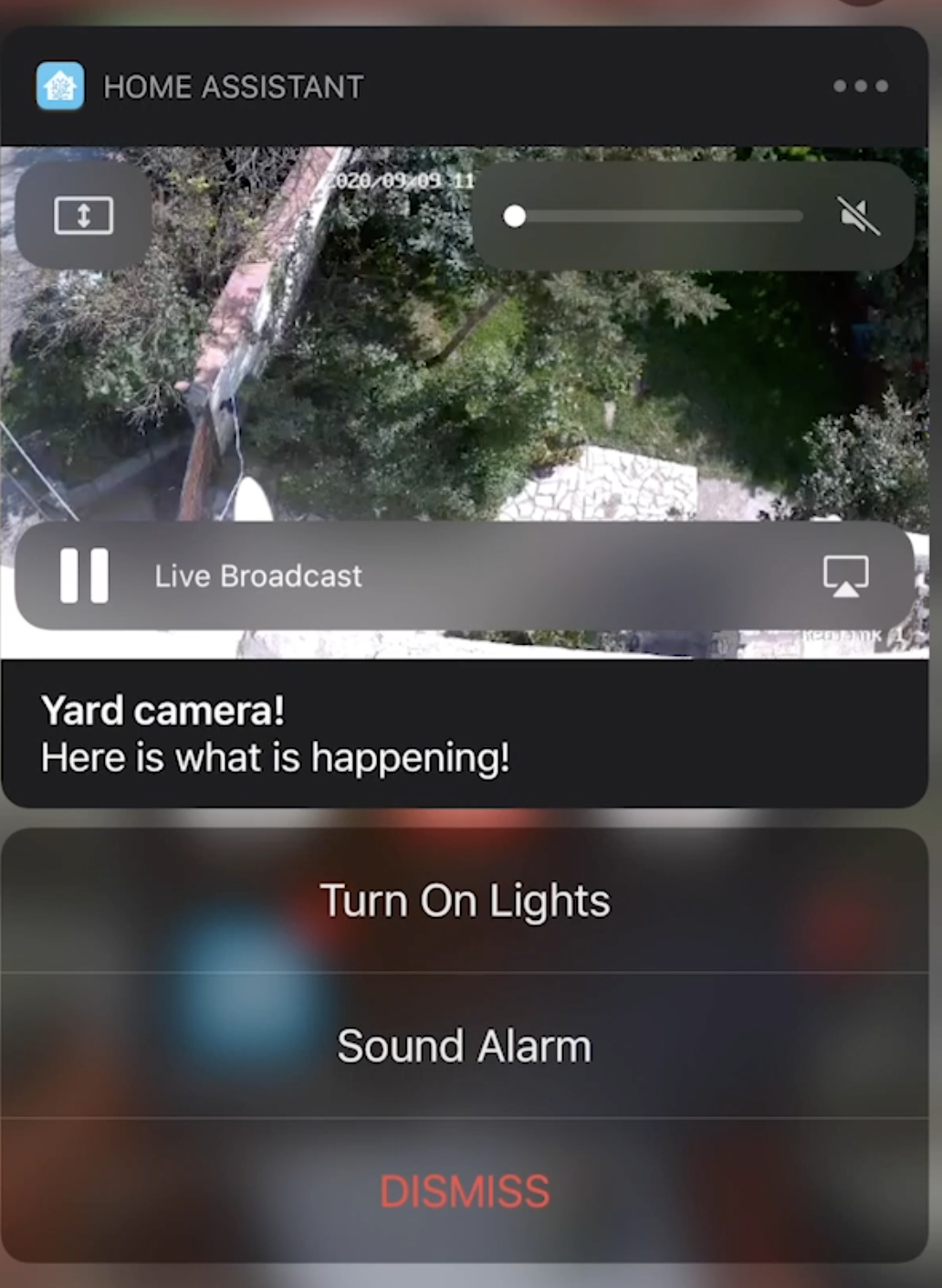 Home Assistant Actionable Notifications Demo