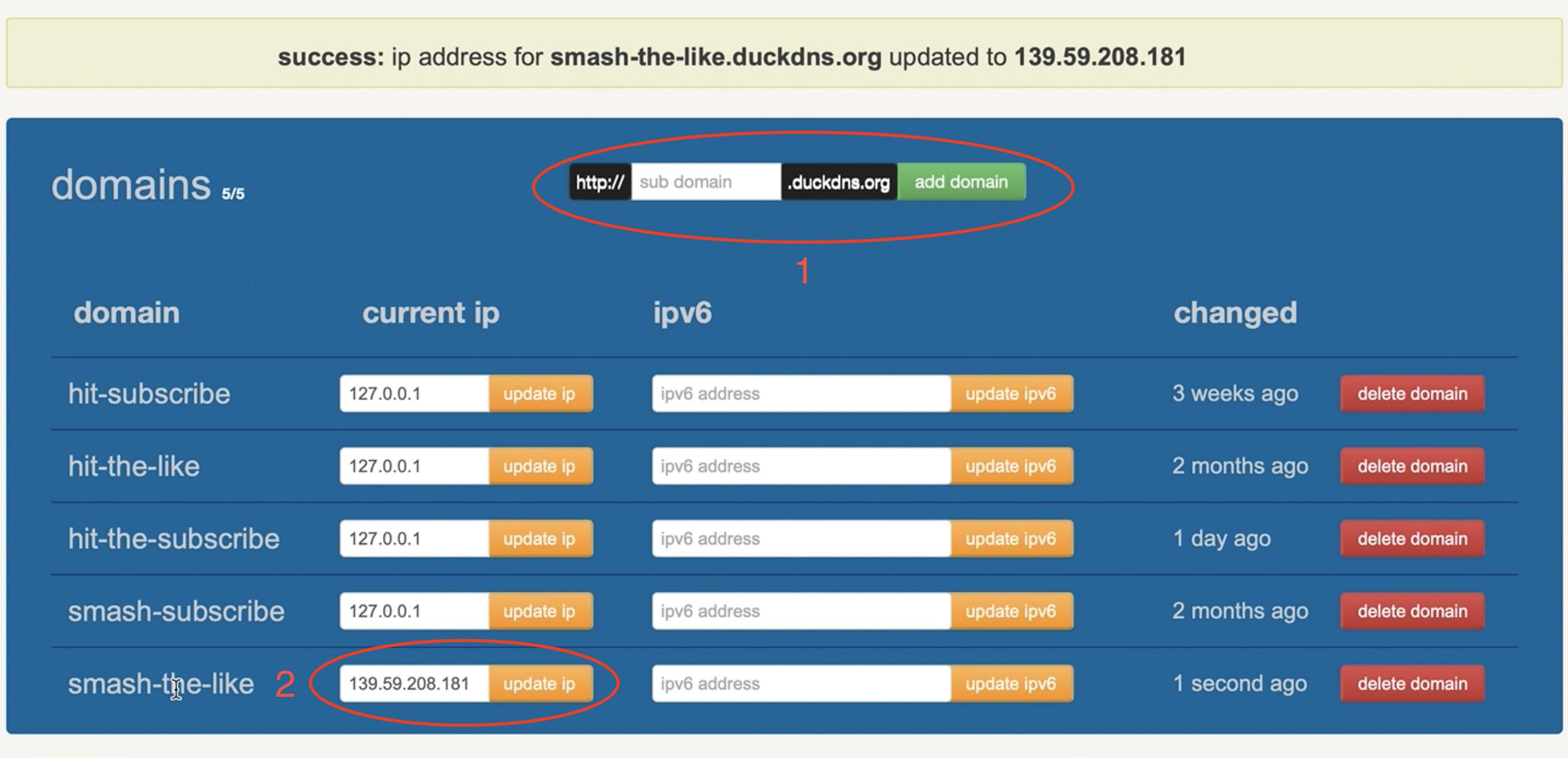 Adding a new domain in DuckDNS website and update the IP of the domain with the DigitalOcean droplet IP
