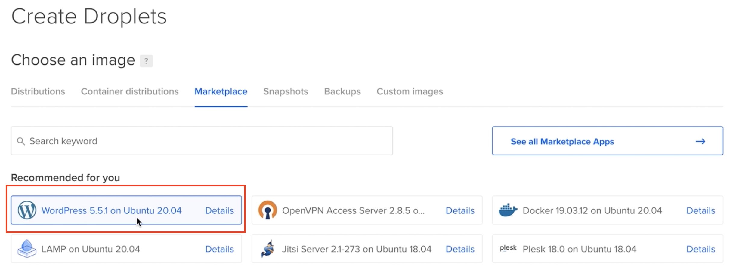 Select WordPress on Ubuntu as an DigitalOcean Droplet Image