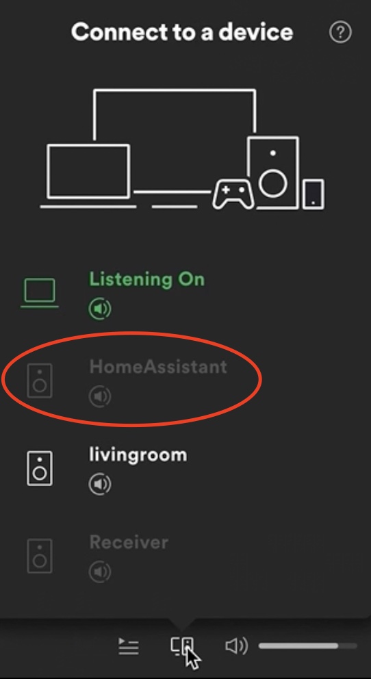 This is from where you can stream music after your Spotify Connect add-on is up and running.