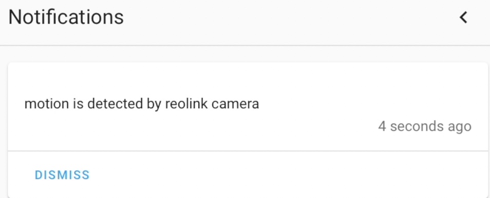 Result of the Home Assistant automation. When the Reolink Camera motion sensor is activated, a persistent notification is created.