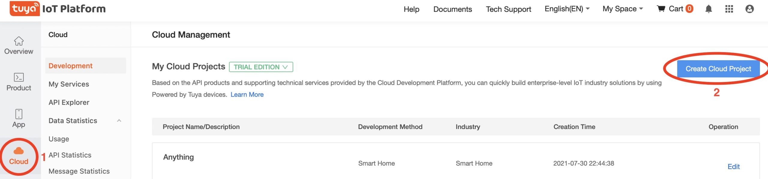 Creating a Cloud Project inside the Tuya IoT Platform for the Home Assistant Integration.