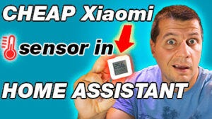 Cheap Xiaomi sensor in Home Assistant label and Kiril Peyanski holding a Xiaomi TH sensor