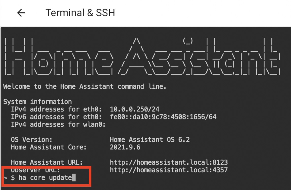 Update with command ha core update using the Home Assistant CLI (Terminal & SSH add-on)