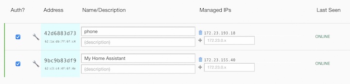 Home Assistant and Phone clients authorized in the ZeroTier web interface 