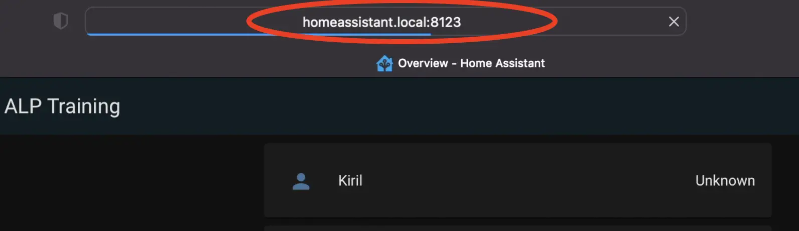 Home Assistant local URL address