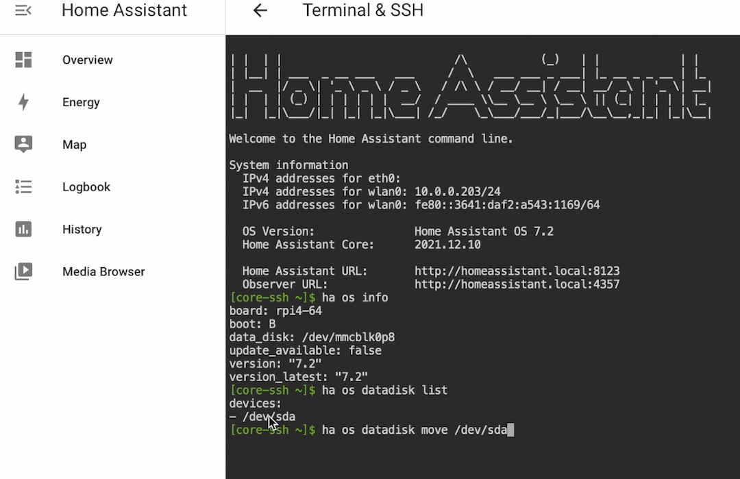 Home Assistant external data disk move using CLI commands