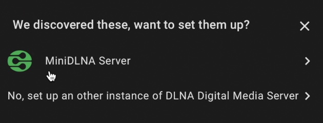 Adding the Home Assistant DLNA integration