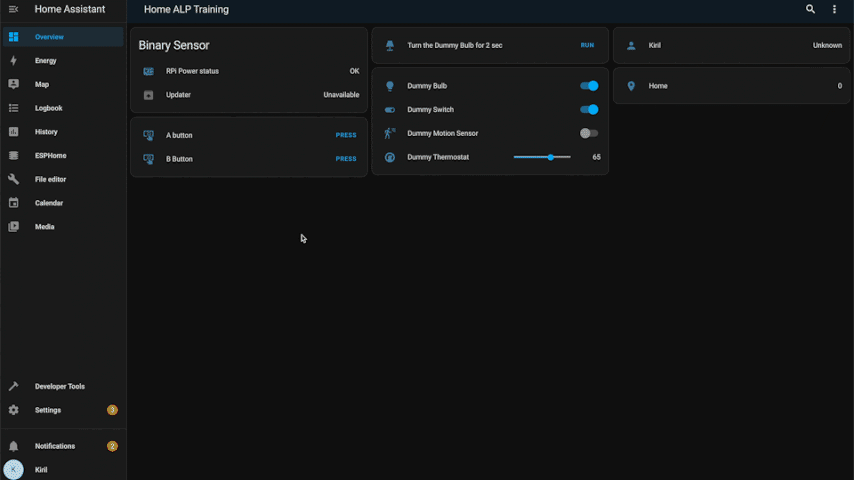 No cover mode for Shelly Plus 2PM - Configuration - Home Assistant