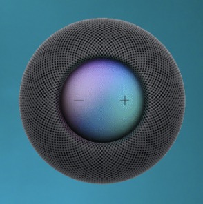 HomePod can be used for activating Assist