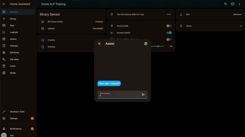 Sending text commands to Assist