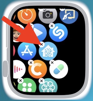 Deleting Home Assistant app from Apple Watch will help you use Assist faster, for the moment until the above described bug is fixed. 