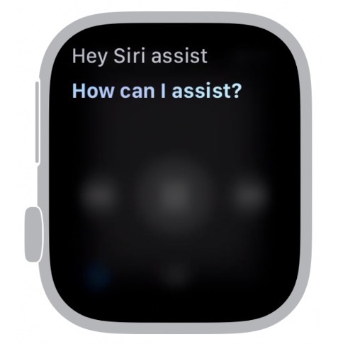 Assist on Apple Watch. The experience is the same on iPhone, Mac, iPad, HomePod, etc. 