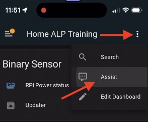 Assist button in the Home Assistant  Companion App