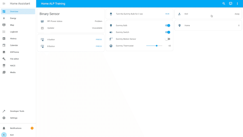 Adding the Alarm Panel in Home Assistant Dashboard