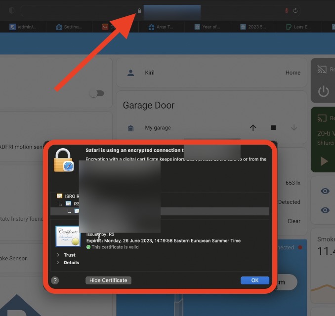 The Home Assistant should be opened using HTTPS to see the Assist Microphone