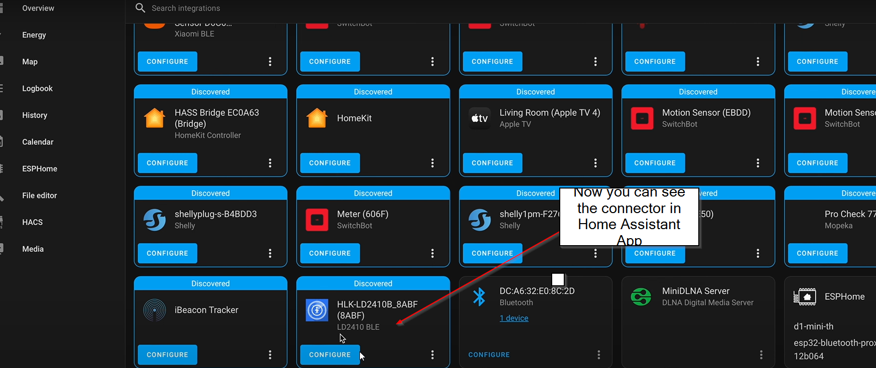 View of the auto detected sensor in the Home Assistant