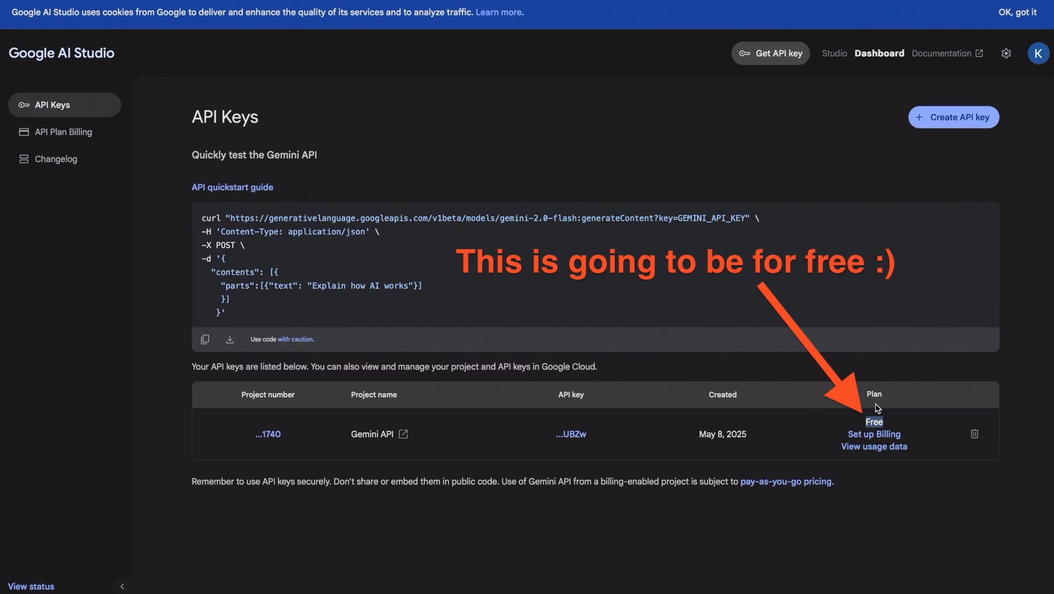 I now have the Google AI API key and I'm on Free tier