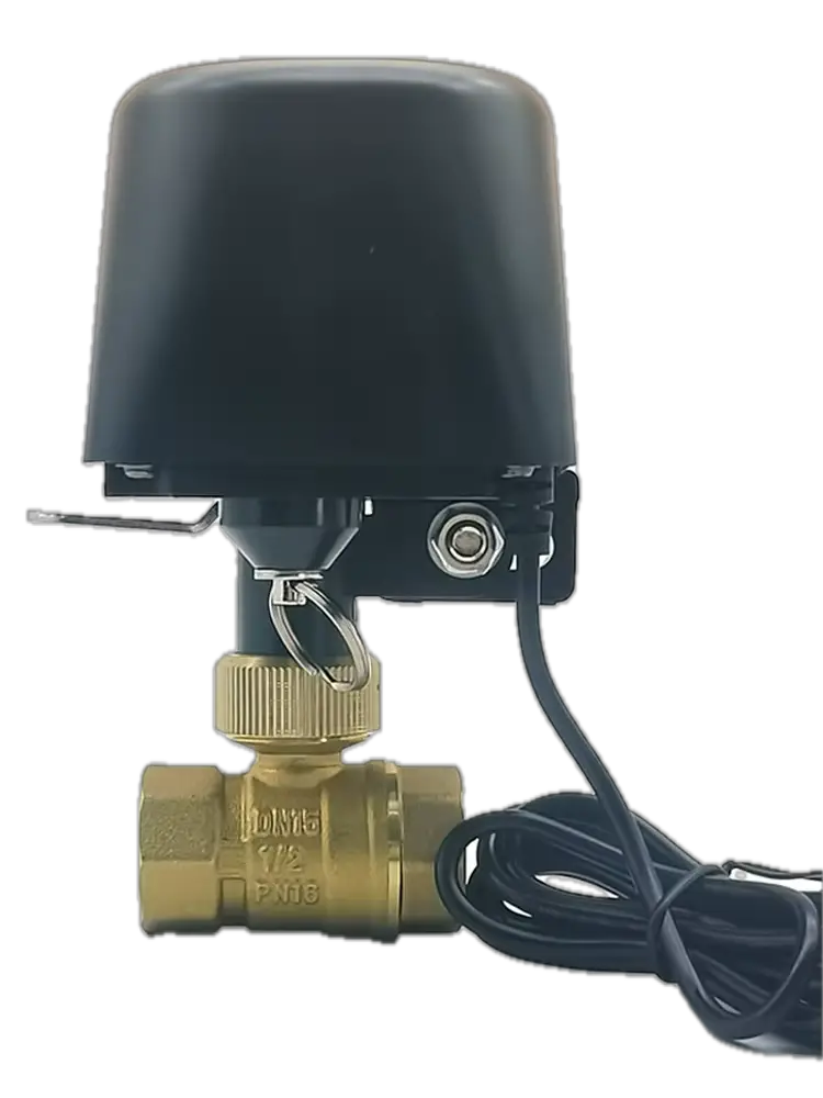 My First 11.11 Sale 2025 Item is Tuya Zigbee WIFI Smart Water Valve DN15 DN20 DN25